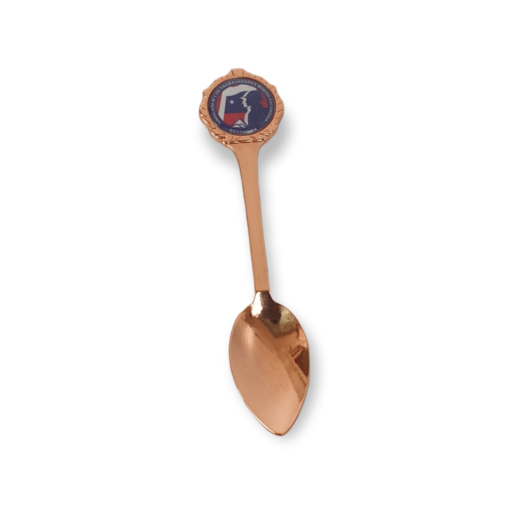 Cucharas De Colección Cobrizada Con Logo A Pedido