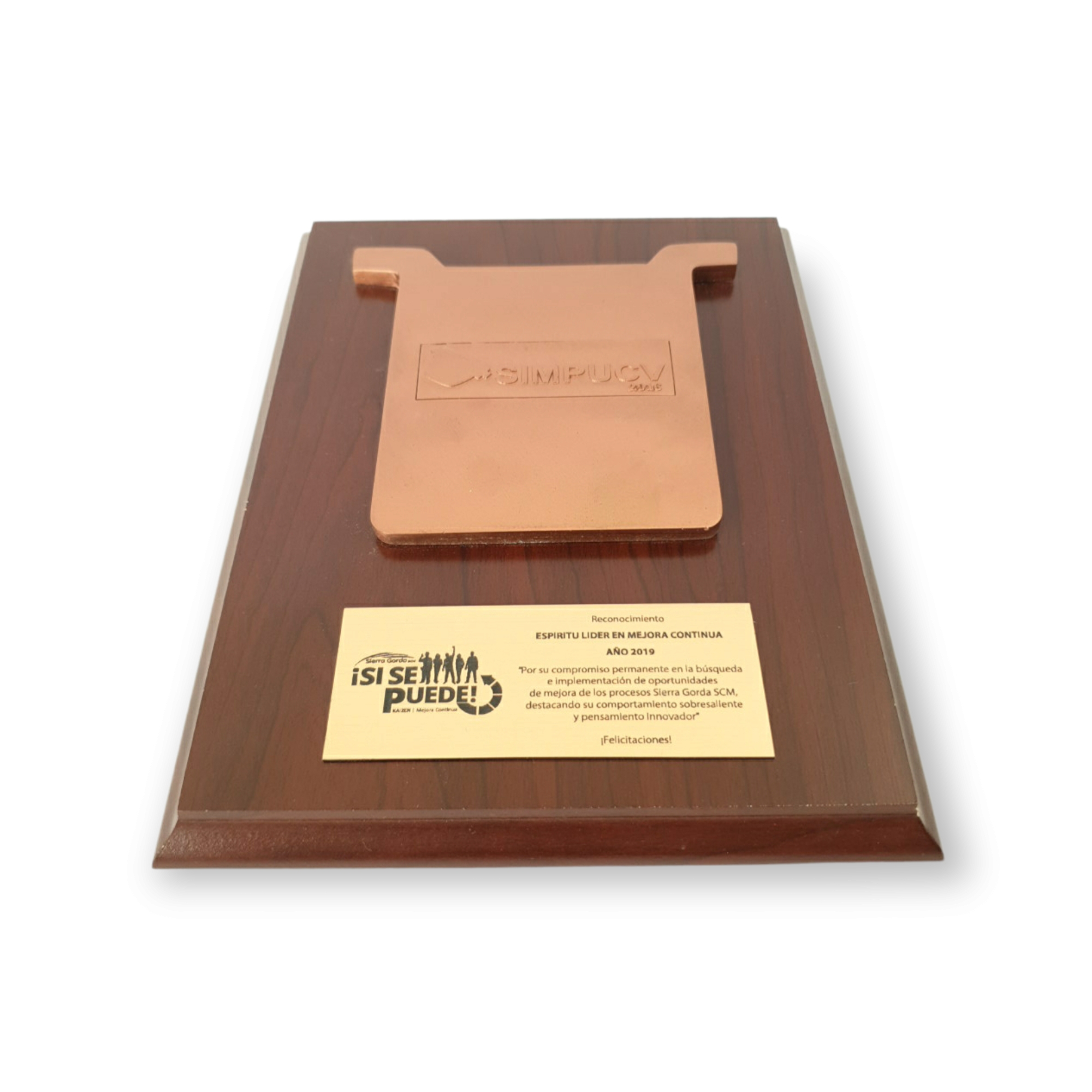 Galvano Cátodo De Resina Con Logo Sobre Relieve Simpucv Placa Grabada