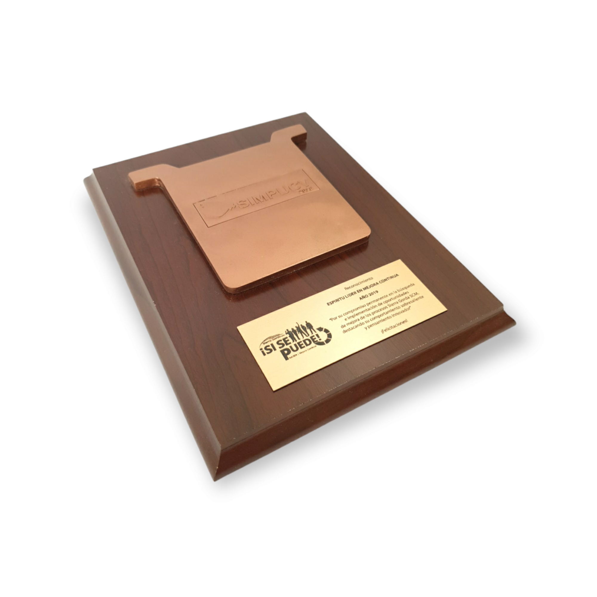 Galvano Cátodo De Resina Con Logo Sobre Relieve Simpucv Placa Grabada