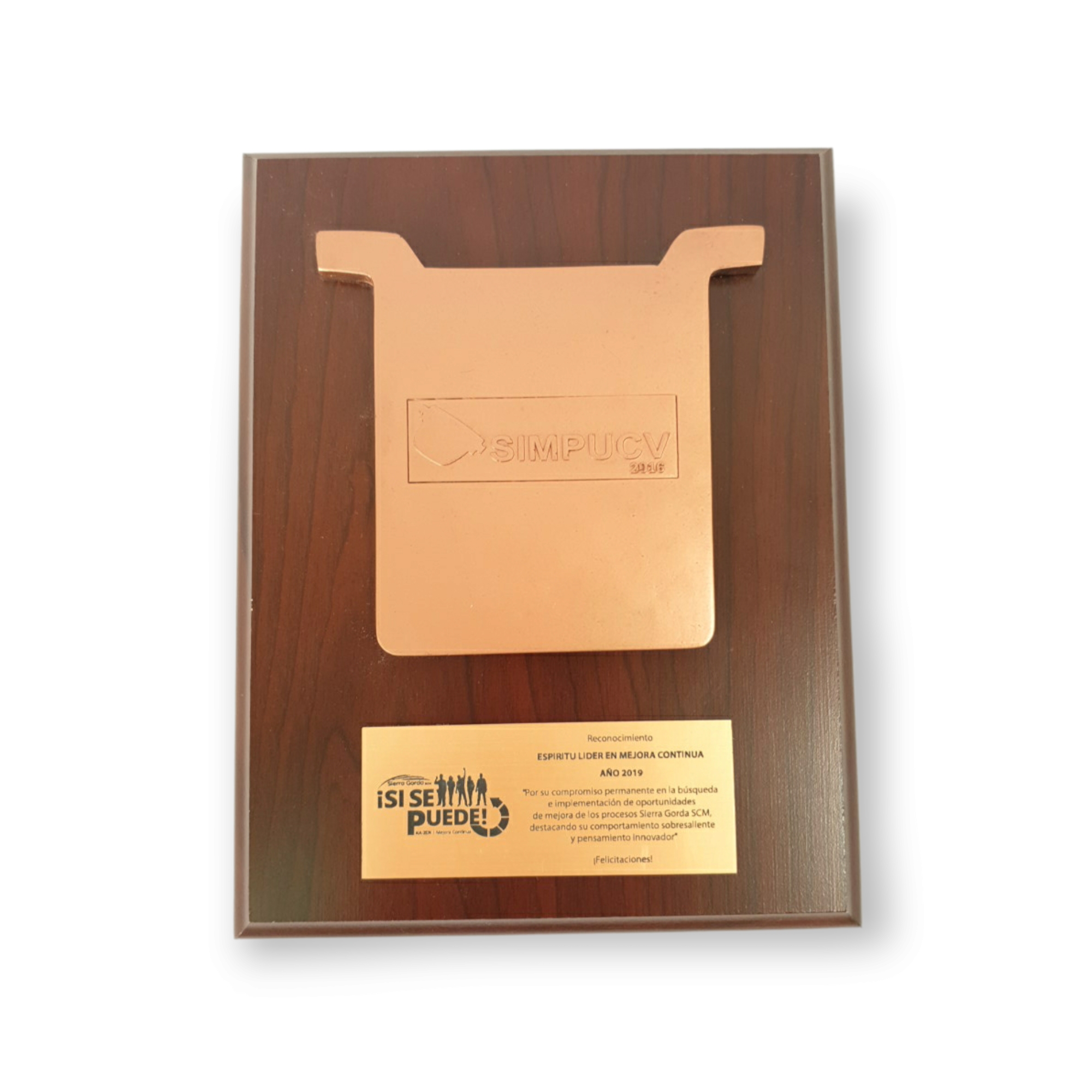Galvano Cátodo De Resina Con Logo Sobre Relieve Simpucv Placa Grabada