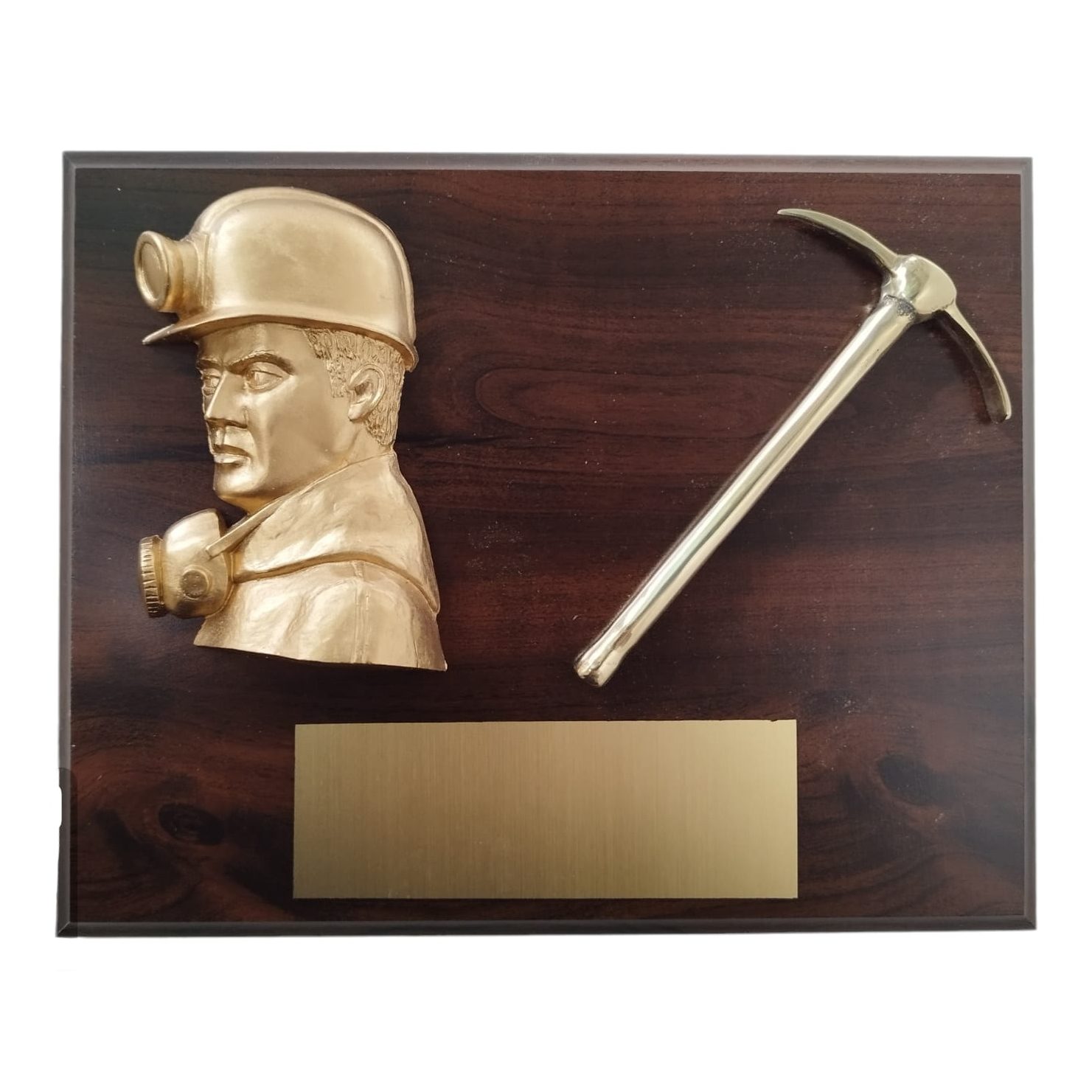 Galvano Rostro Minero Dorado De Resina Con Picota De Bronce, Placa Grabada