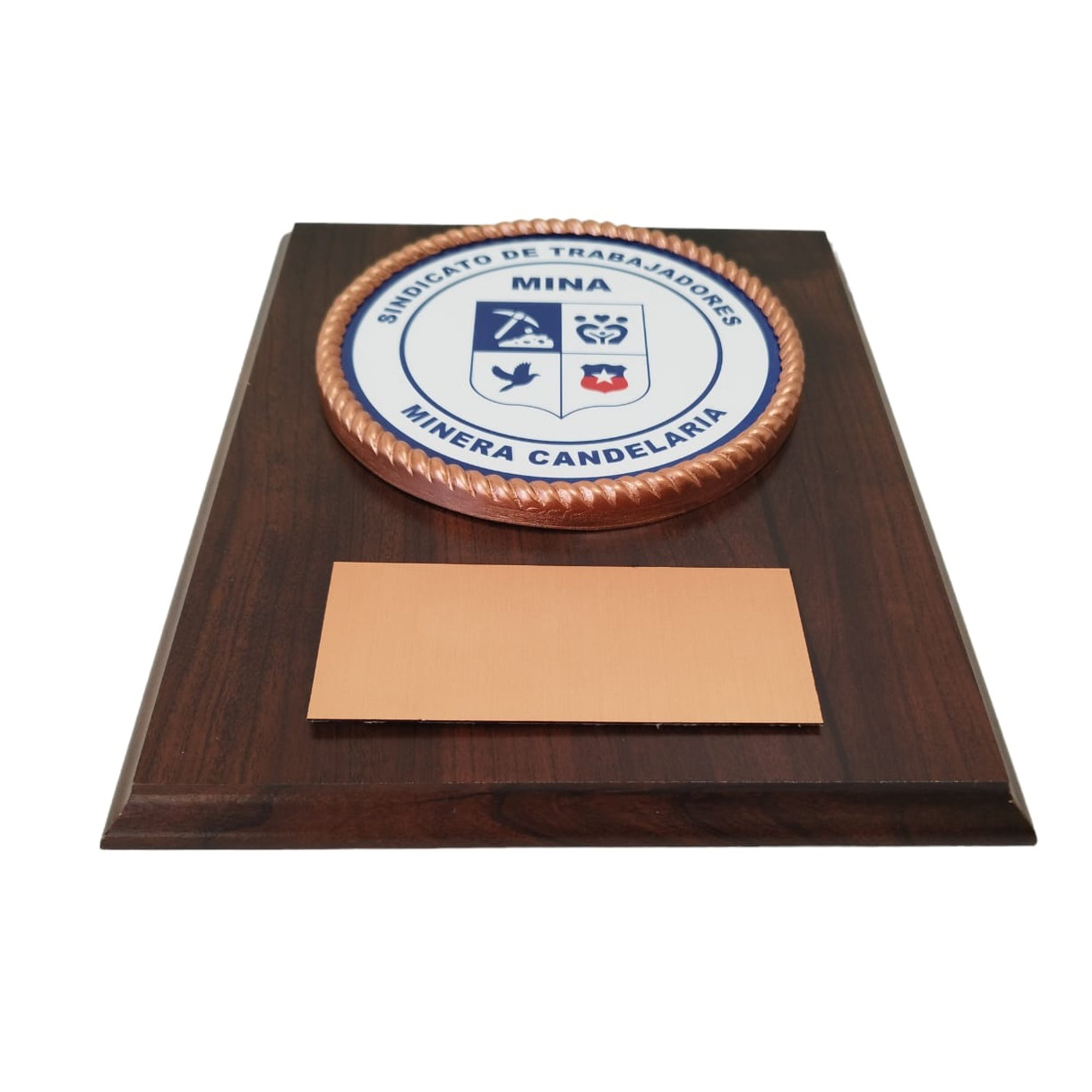 Galvano Placa Metálica Con Logo Sindicato En Color, Y Cordón 3D Cobrizado, Placa Grabada