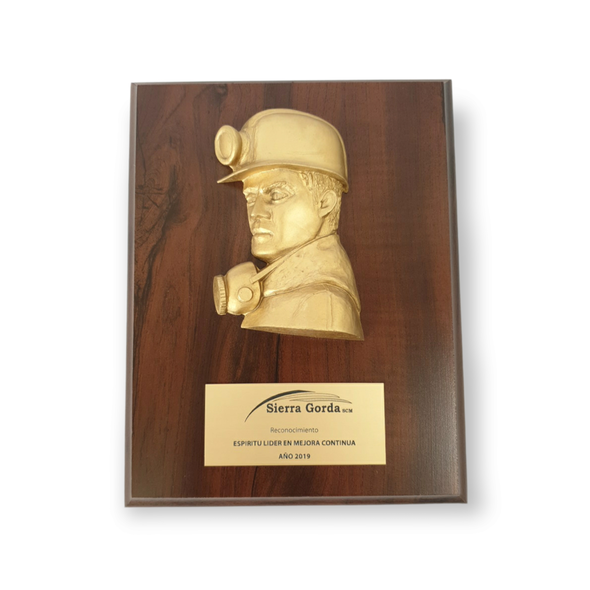 Galvano Rostro Minero En Resina Color Cobre Con Placa Grabada