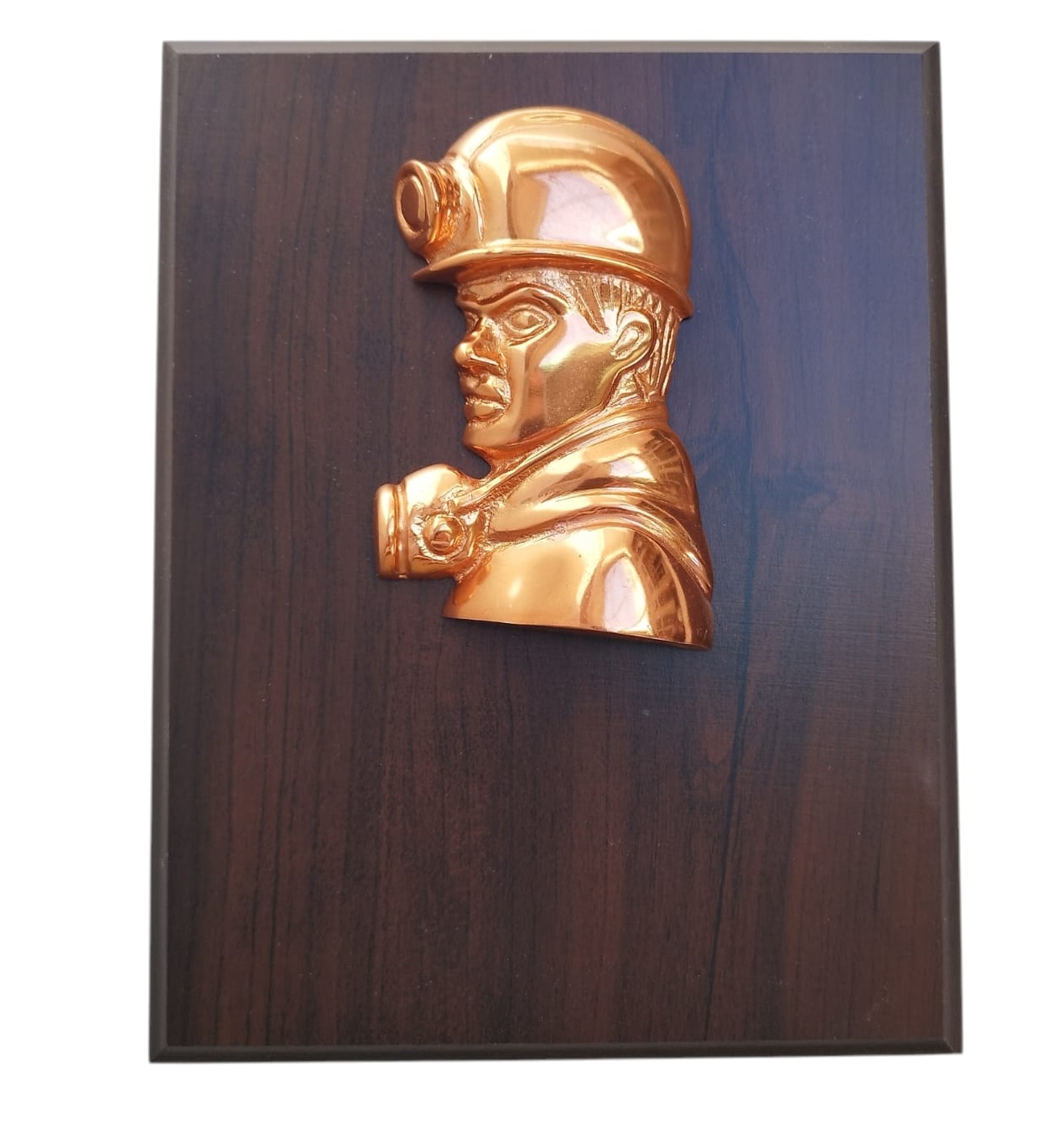 Galvano Rostro Minero Metálico Cobrizado, Con Placa Grabada