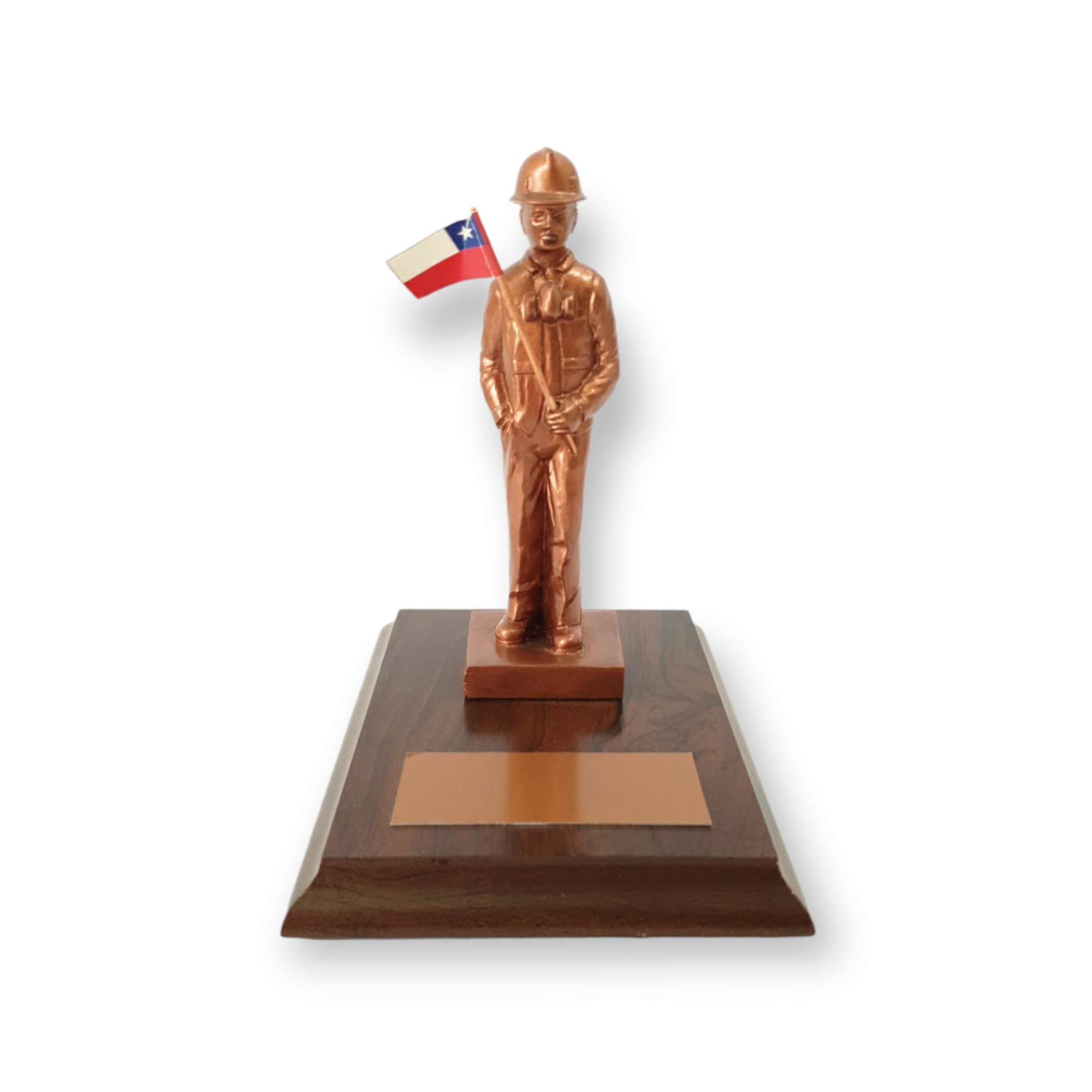 Minero De Resina Base Madera, Placa Grabada